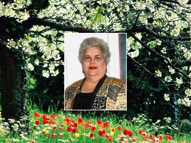 Obituary Brenda Phillips Brawner Sumner County Source