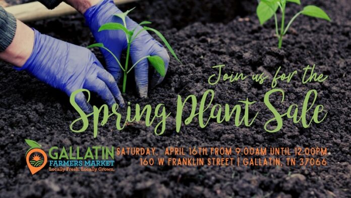 Gallatin-Farmers-Market-Spring-Plant-Sale