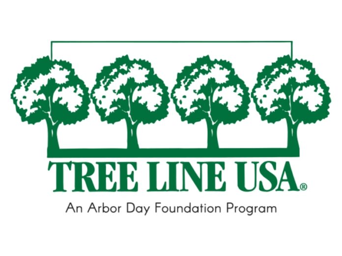 MTE Receives Tree Line USA Recognition