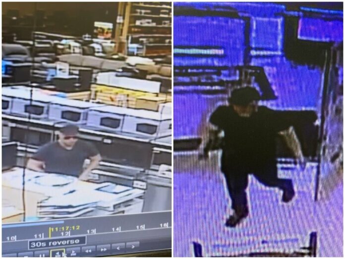 Suspect Wanted for Shoplifting at Electronic Express in Gallatin