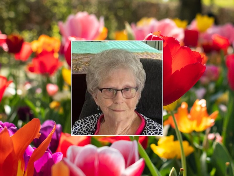 Obituary information for Shirley Ann Williams