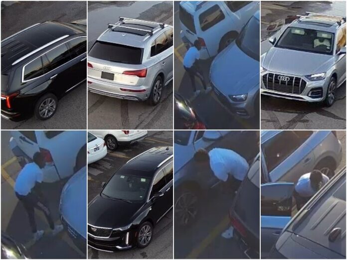 BOLO: Suspects and Vehicles Involved in Gallatin Vehicle Burglaries