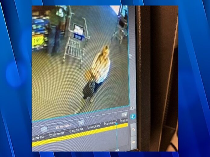 Please BOLO for this white female. She is observed on camera picking up a purse that was left in a cart by another customer.
