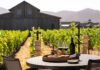 Elusa Winery located on property at Four Seasons Napa Valley in Calistoga, CA