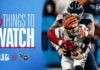 6 things to watch bengals