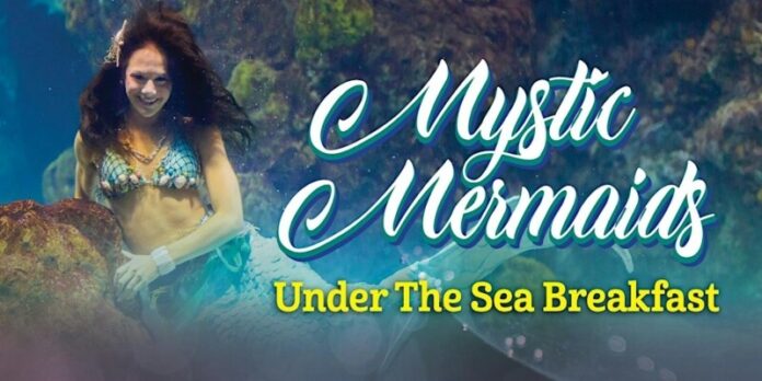 mystic mermaids