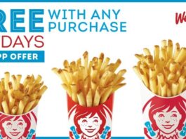 Best FRYday Yet: Wendy’s Drops Free Any Size Hot & Crispy Fries With Purchase In-App Offer EVERY Friday Beginning April 19
