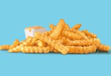 NEW Fries Coming to SONIC