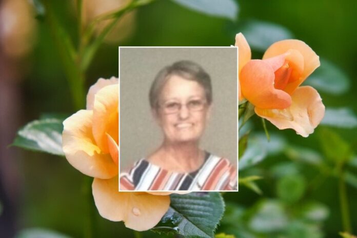 Debra Ann 'Debi' Barrett Debra-Ann-Debi-Barrett