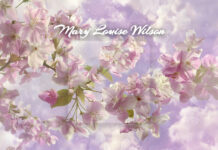 Mary Louise Wilson Obit