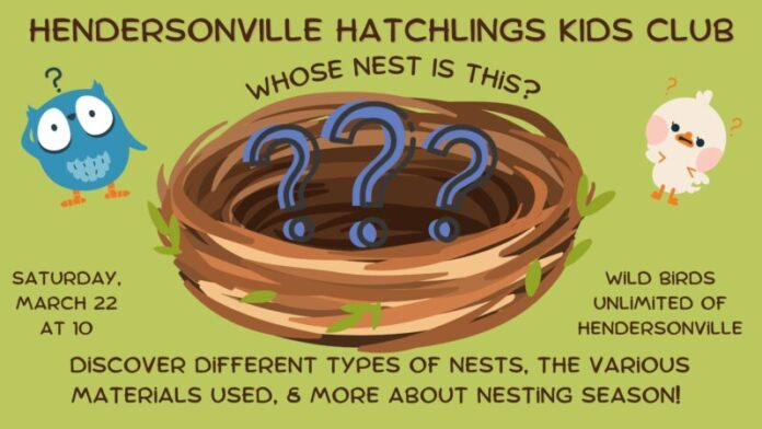whose nest is this kids club
