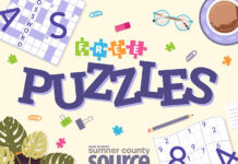 Free Puzzle Center Sumner County Source
