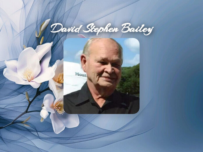 David Stephen Bailey Obit