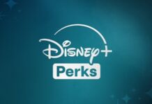 disney perks