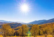 Sunny weather conditions for local forecast
