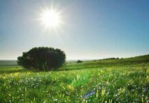 Sunny weather conditions for local forecast