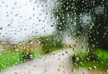 10/29/25: Slight Rain Continuing, Temp Peaking at 56