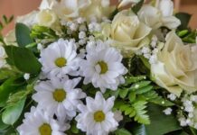 Nora Tickle Cannon Obit