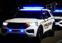 Expired Tag Stop Leads To Arrests Of Two Wanted Individuals In Mt. Juliet