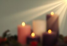 OBITUARY: Sheila Vance Sheila Vance Obit