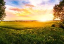 OBITUARY: Tiarka Ralphael Curry Sr. obit56