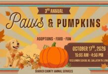 Enjoy a Paw-some Fall Day at the 3rd Annual Paws & Pumpkins in Gallatin Paws-and-Pumpkins-Gallatin